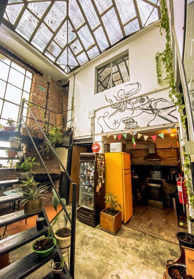 Casa Mutante Hostel 蒙得维的亚 外观 照片